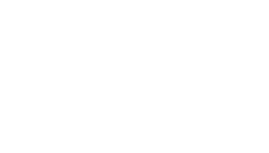 Branding Agency in India - Digital Mojo